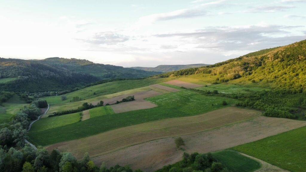 scădere drastică a pajiștilor naturale