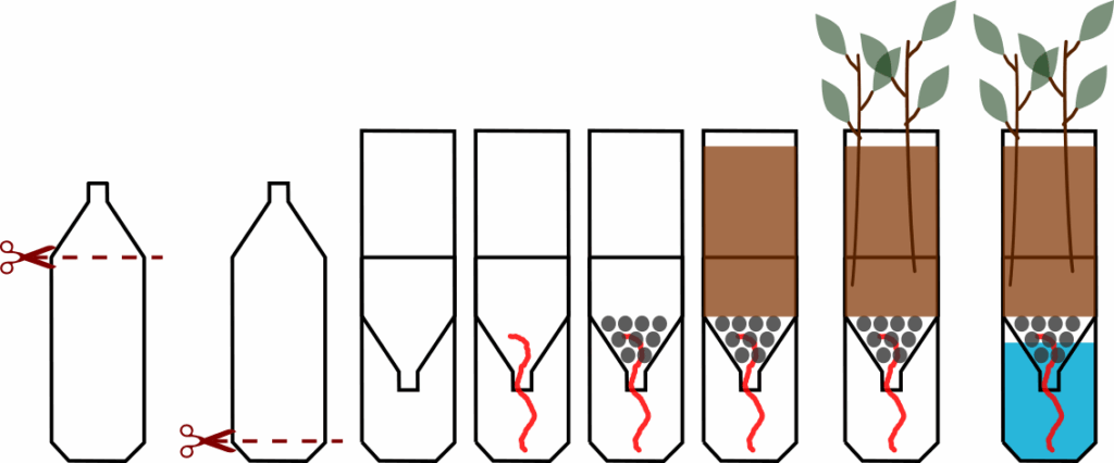 multiplier ses plantes, înmulțirea plantelor, plant propagation