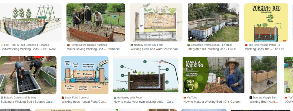 multiplier ses plantes, înmulțirea plantelor, plant propagation