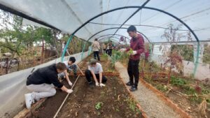 FR Cours de jardinage en permaculture en Transylvanie à Ermitaj Malin et Blue Gardens EN Permaculture gardening course in Transylvania at Ermitaj Malin and Blue Gardens RO Curs de grădinărit în permacultură în Transilvania la Ermitaj Malin și Blue Gardens Greenhouse Bogdan Suliman