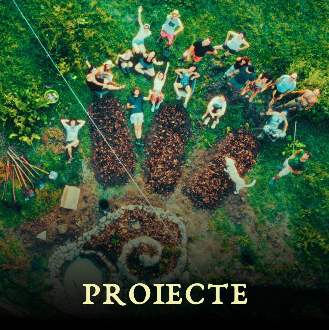 PROIECTE