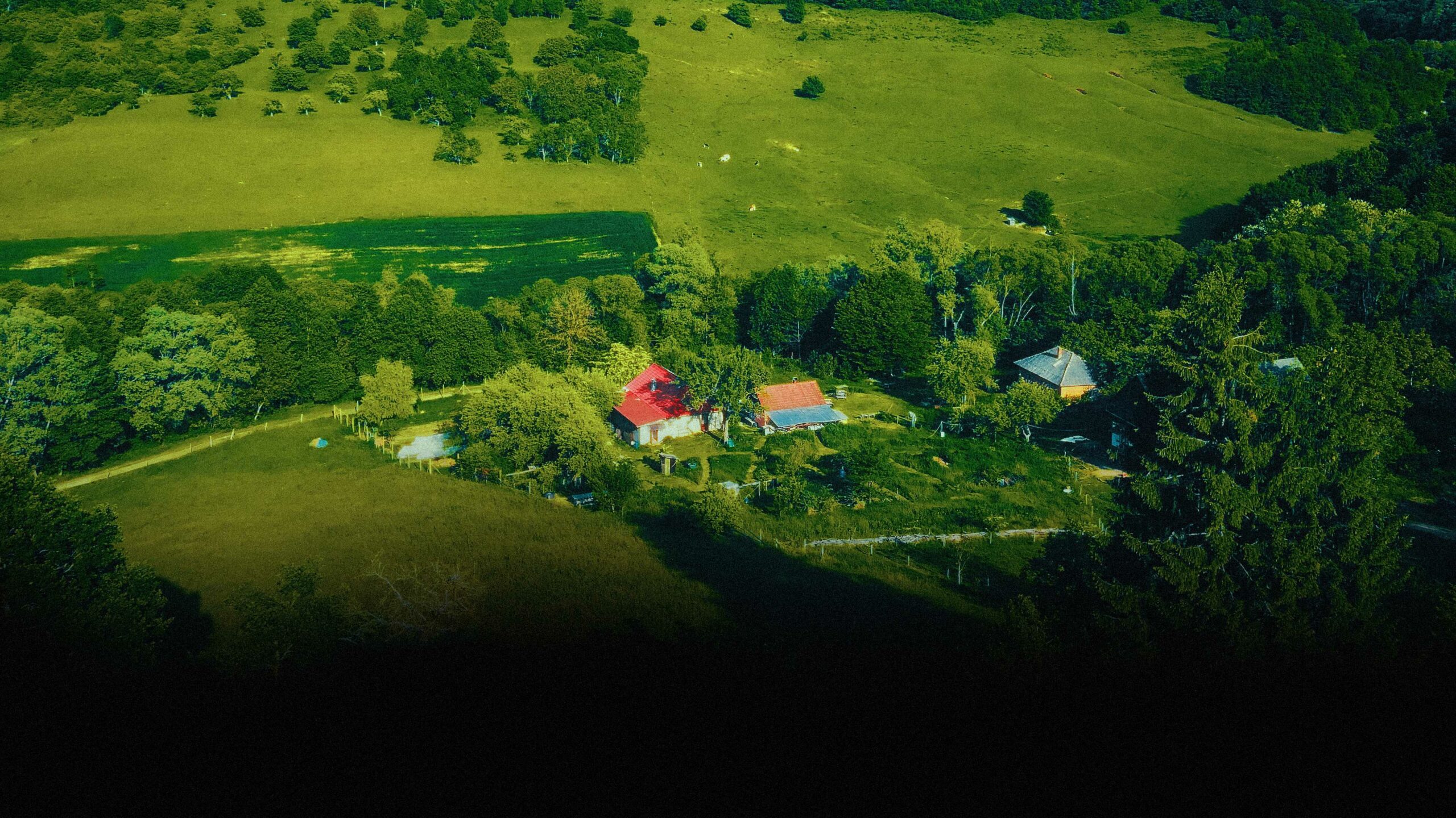 drone pic of Ermitaj
